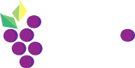 Prowine.cz - bulharská vína a destiláty